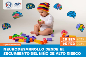 Diplomado online SOCHIPE