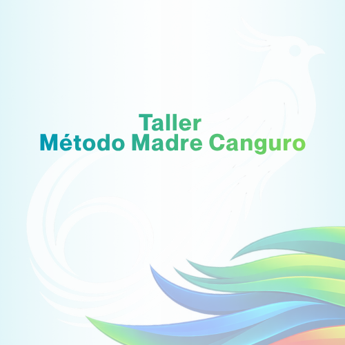 18 de mayo 2027 | 08:00 a 12:00 horas