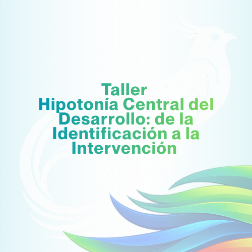17 de mayo 2027 | 08:00 a 17:00 horas