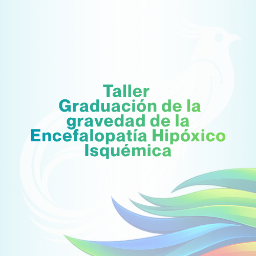 18 de mayo 2027 | 08:00 a 12:00 horas
